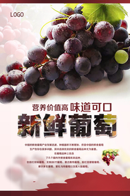 葡萄海报