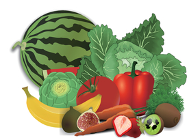 矢量水果蔬菜