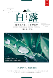 白露传统国风古风清新海报