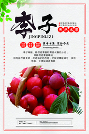 李子海报