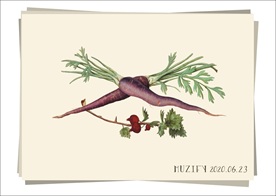 胡萝卜 蔬果图鉴