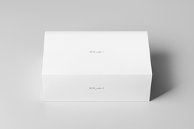 包装盒子展示效果图