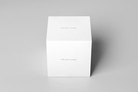 包装盒子展示效果图