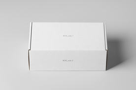 包装盒子展示效果图