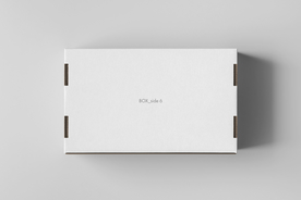 包装盒子展示效果图