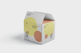 包装盒子展示效果图