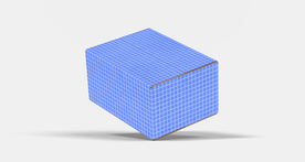 包装盒子展示效果图