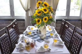 向日葵太阳花葵花图片