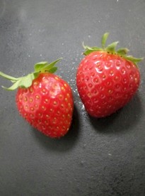 草莓