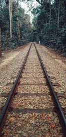 森林铁轨