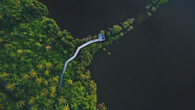 森林航拍树木俯瞰图片