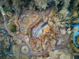 森林航拍树木俯瞰图片