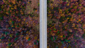 森林航拍树木俯瞰图片