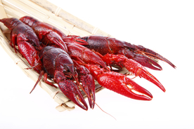 小龙虾