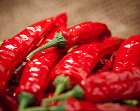 辣椒