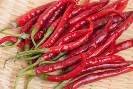 辣椒