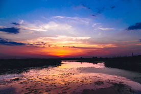 海滨海岸沙滩海滩图片