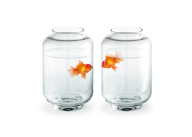 金鱼锦鲤水族观赏鱼图片