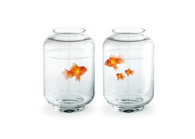 金鱼锦鲤水族观赏鱼图片