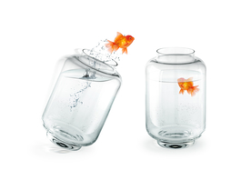 金鱼锦鲤水族观赏鱼图片