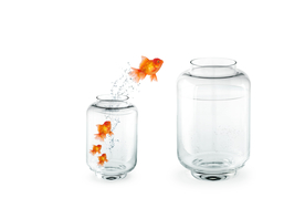 金鱼锦鲤水族观赏鱼图片