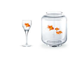 金鱼锦鲤水族观赏鱼图片