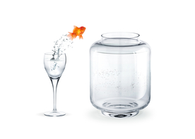 金鱼锦鲤水族观赏鱼图片