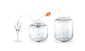 金鱼锦鲤水族观赏鱼图片