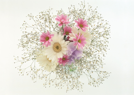 花卉艺术摄影图片