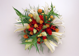 花卉艺术摄影图片