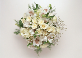 花卉艺术摄影图片