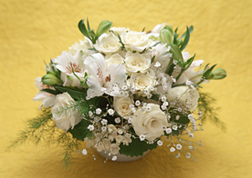 花卉艺术摄影图片