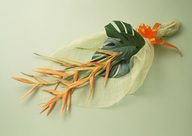 花卉艺术摄影图片