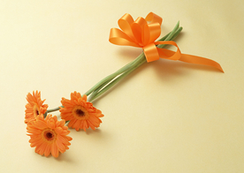 花卉艺术摄影图片