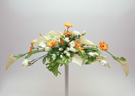 花卉艺术摄影图片