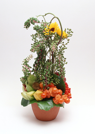 花卉艺术摄影图片