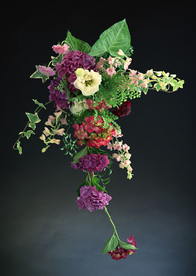 因本人不慎将公司财务章丢失，名