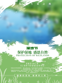 湿地海报