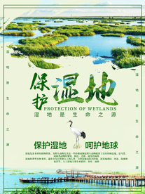 湿地海报