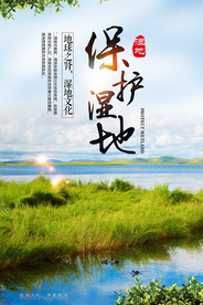 湿地海报