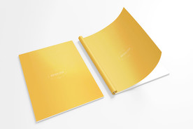 画册样机