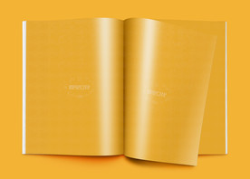 画册样机