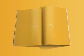画册样机