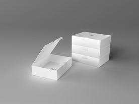 包装纸盒设计效果图