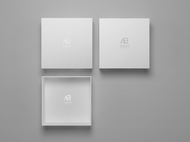 包装纸盒设计效果图