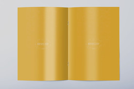 画册样机