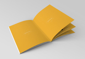 画册样机