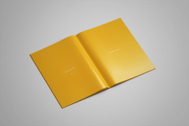 画册样机