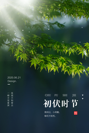 初伏传统节日国风复古海报