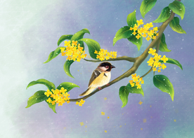 桂花小鸟传统插画卡通背景素材